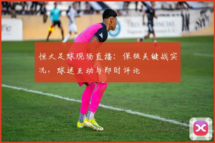 恒大足球现场直播：保级关键战实况，球迷互动与即时评论